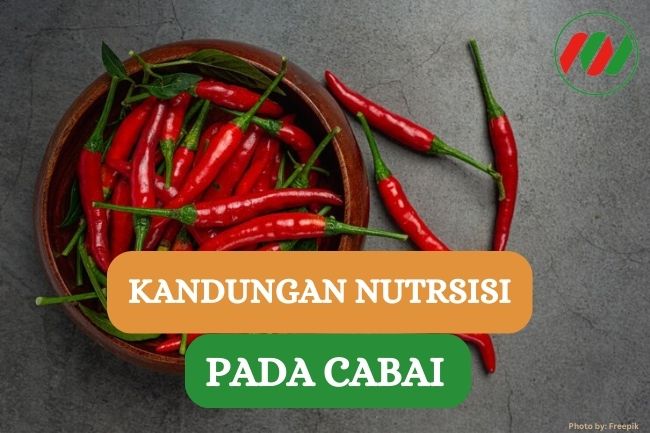 Tak Hanya Pedas, Ini Dia Kandungan Nutrisi pada Cabai